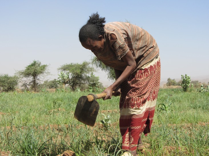 Empowering Women Through Agricultural Development In Ethiopia | Archive ...